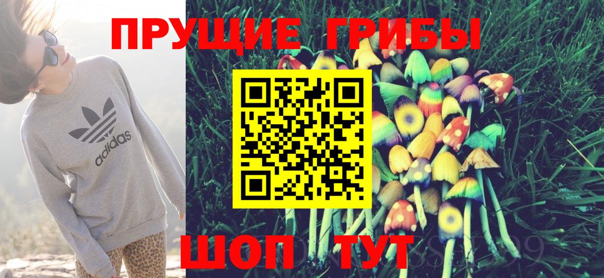 Псилоцибиновые грибы Psilocybine cubensis  Вход с VPN  Улан-Удэ 